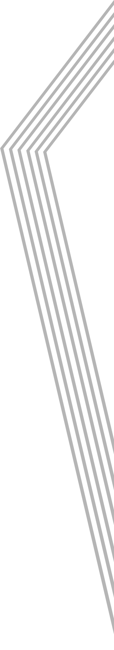 Architectes Associes stripes 5